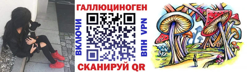Галлюциногенные грибы Psilocybe Печора