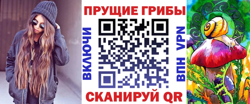 где можно купить Печора Псилоцибиновые грибы Cubensis